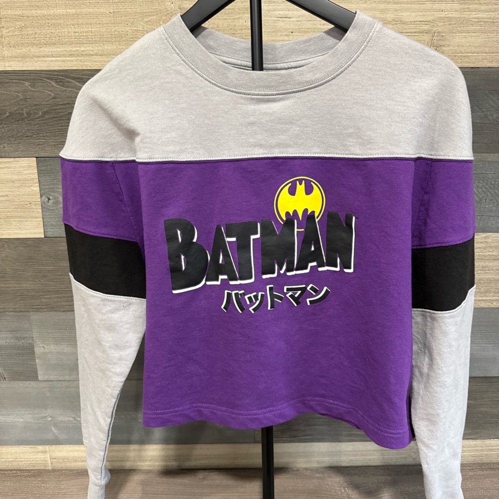 Batman SM Junior's Logo Kanji Color Block Purple Long Sleeve Cropped Sweatshirt